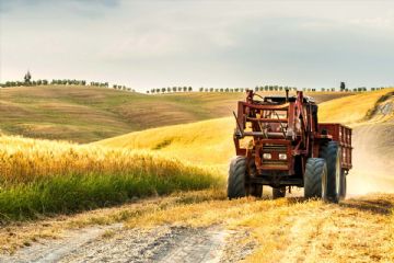 Regione Piemonte - segnalazione danni alle produzioni agricole causa siccit&#224;.