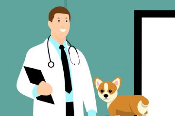 Tuteliamo gli animali, non solo d&#39;estate!